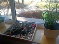 IMG_20240216_130446_077