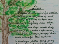 lipa