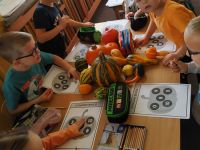 IMG_20231102_103109