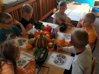 IMG_20231102_103141