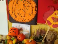 IMG_20231102_115205