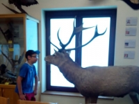IMG_20150603_091738.jpg