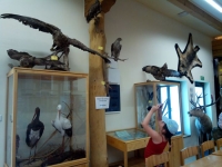 IMG_20150603_092110.jpg