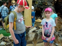 IMG_20150603_092258.jpg