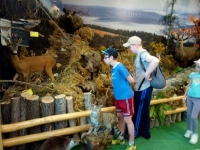 IMG_20150603_092821.jpg