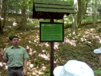 IMG_20150603_113954.jpg