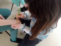 IMG-20250317-WA0008