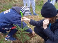 IMG_20220422_111808_1-2