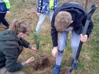 IMG_20220422_112116-2