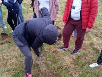 IMG_20220422_112419_1-2