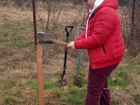 IMG_20220422_113256_1-2
