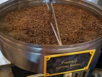 62328646_1256486211182087_2968430684869230592_n