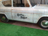 62505325_2324762961110969_6621851551860260864_n