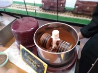 64245565_1255381221296100_481400477364256768_n