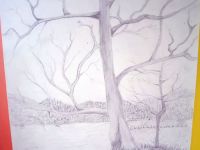 IMG-20220928-WA0004