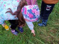 IMG_20231019_101028036