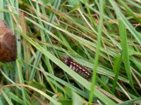 IMG_20231019_101123327