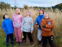 IMG_20231019_101346414