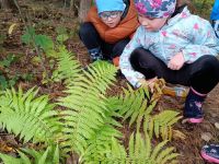 IMG_20231019_102019119