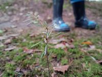 IMG_20231019_102313285