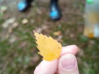 IMG_20231019_102328956