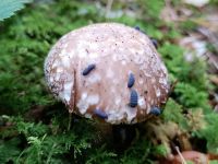 IMG_20231019_103115991