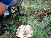 IMG_20231019_103155299