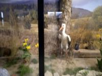 IMG-20221030-WA0005