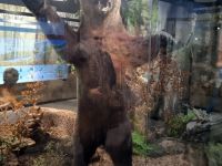 IMG-20221030-WA0023