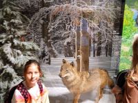 IMG-20221030-WA0024