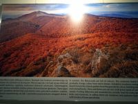 IMG-20221030-WA0028