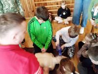 IMG-20230403-WA0011