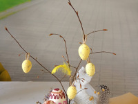 658159353_122272053092180006_587060466877411314_n