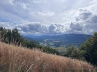 IMG-20260925-WA0009
