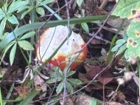 IMG-20260925-WA0013
