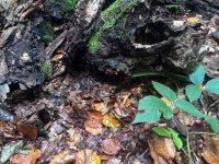 IMG-20260925-WA0016