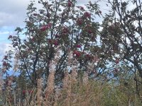 IMG-20260925-WA0018