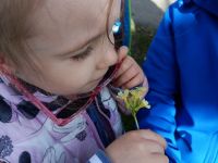 IMG-20240411-WA0028