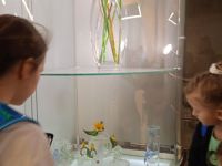 IMG-20230521-WA0022