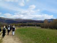 IMG-20260429-WA0003