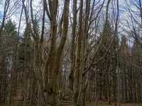 IMG-20260429-WA0007