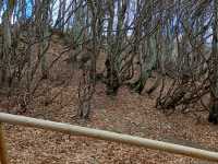 IMG-20260429-WA0016