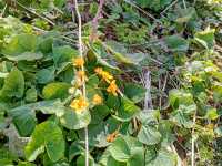 IMG-20260429-WA0037
