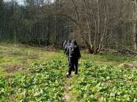 IMG-20260429-WA0039