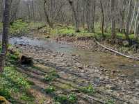 IMG-20260429-WA0040