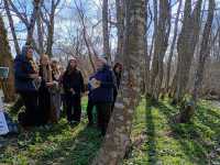 IMG-20260429-WA0042