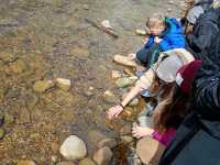 IMG-20260429-WA0046