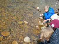 IMG-20260429-WA0047