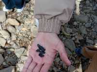 IMG-20260429-WA0048