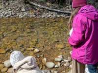 IMG-20260429-WA0049
